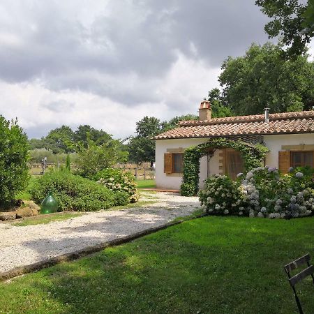 Maremma Country Chic Le Ginestre Villa Sovana Buitenkant foto