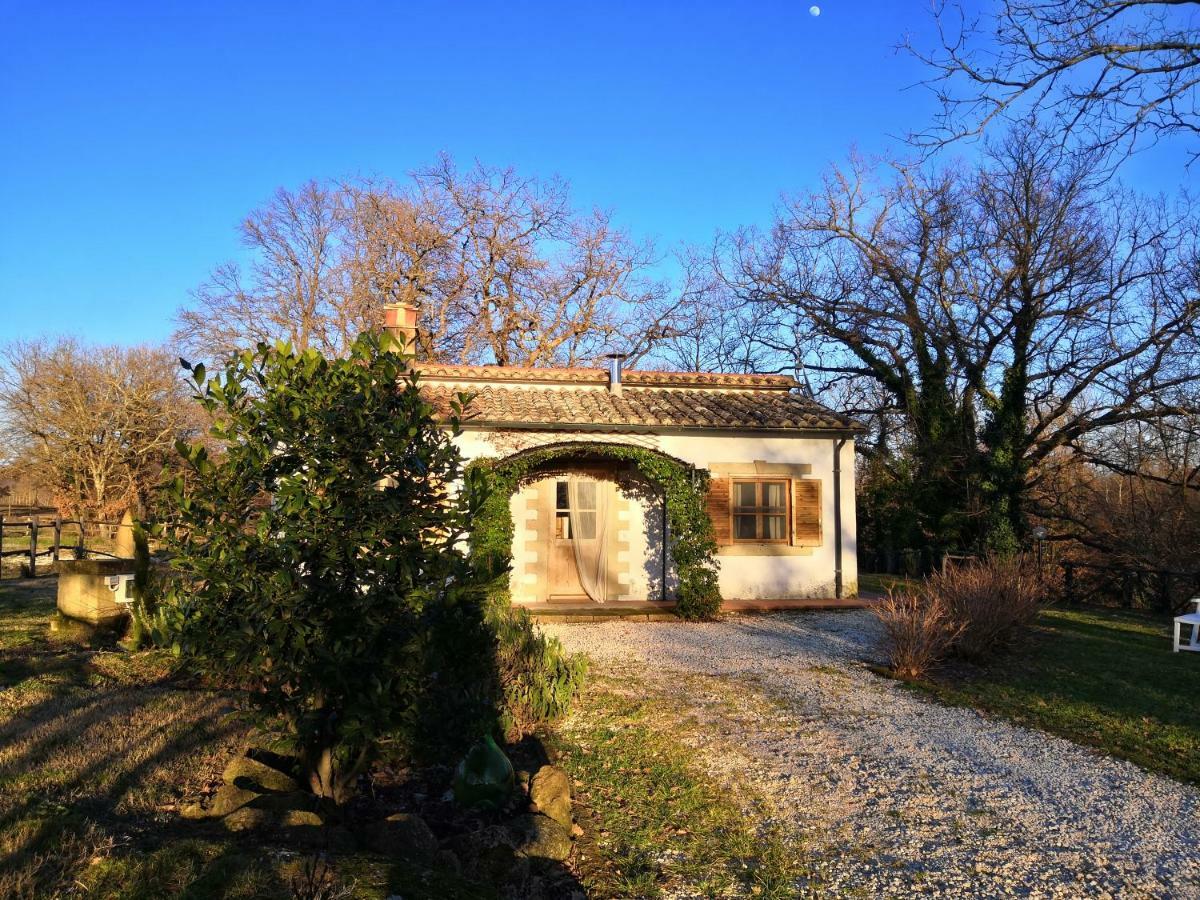 Maremma Country Chic Le Ginestre Villa Sovana Buitenkant foto