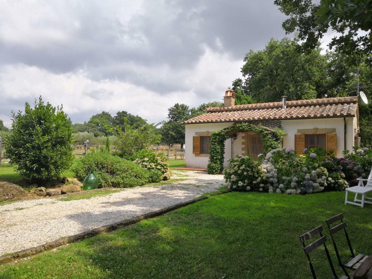 Maremma Country Chic Le Ginestre Villa Sovana Buitenkant foto